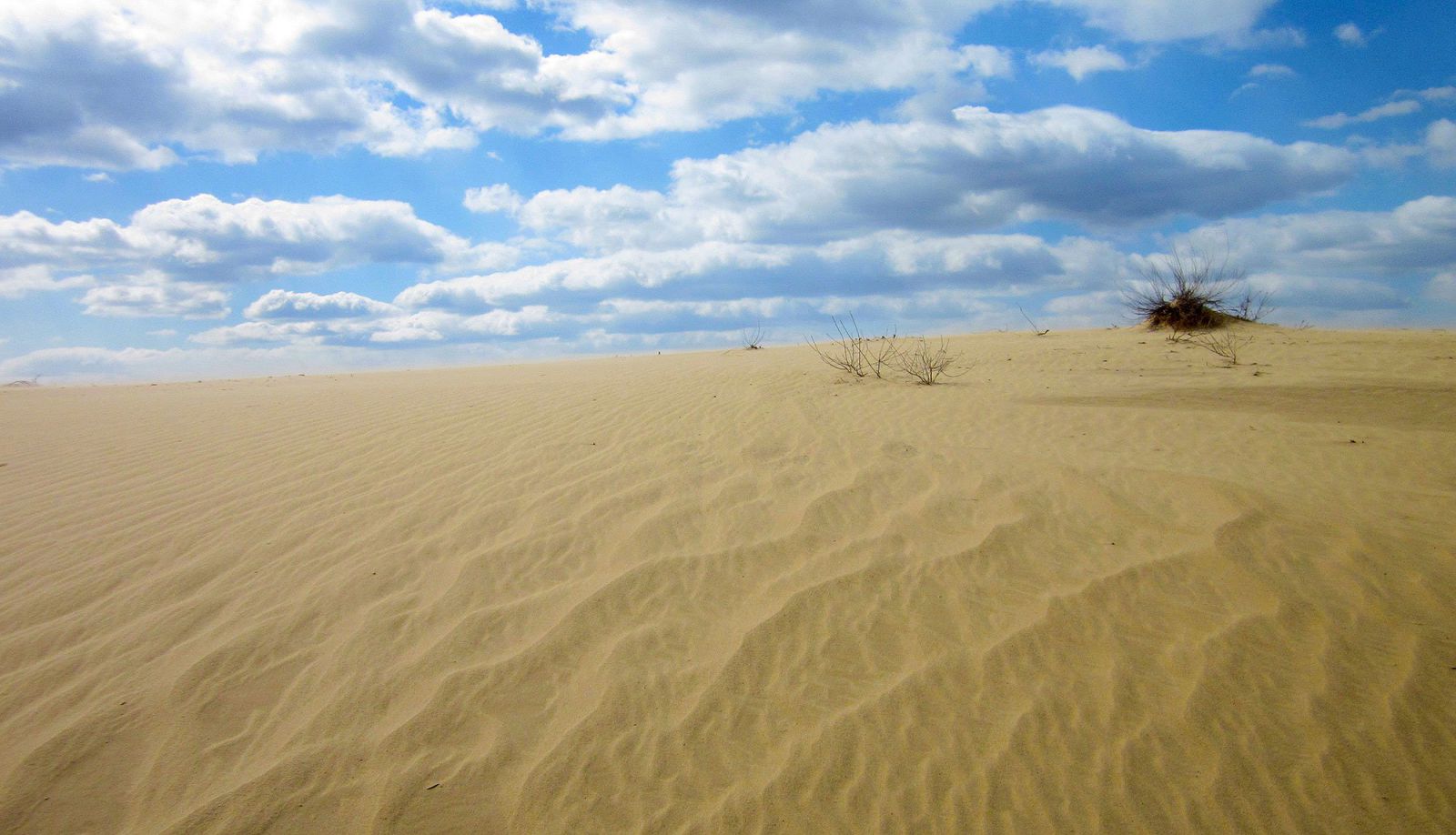  пісочні дюни в Україні