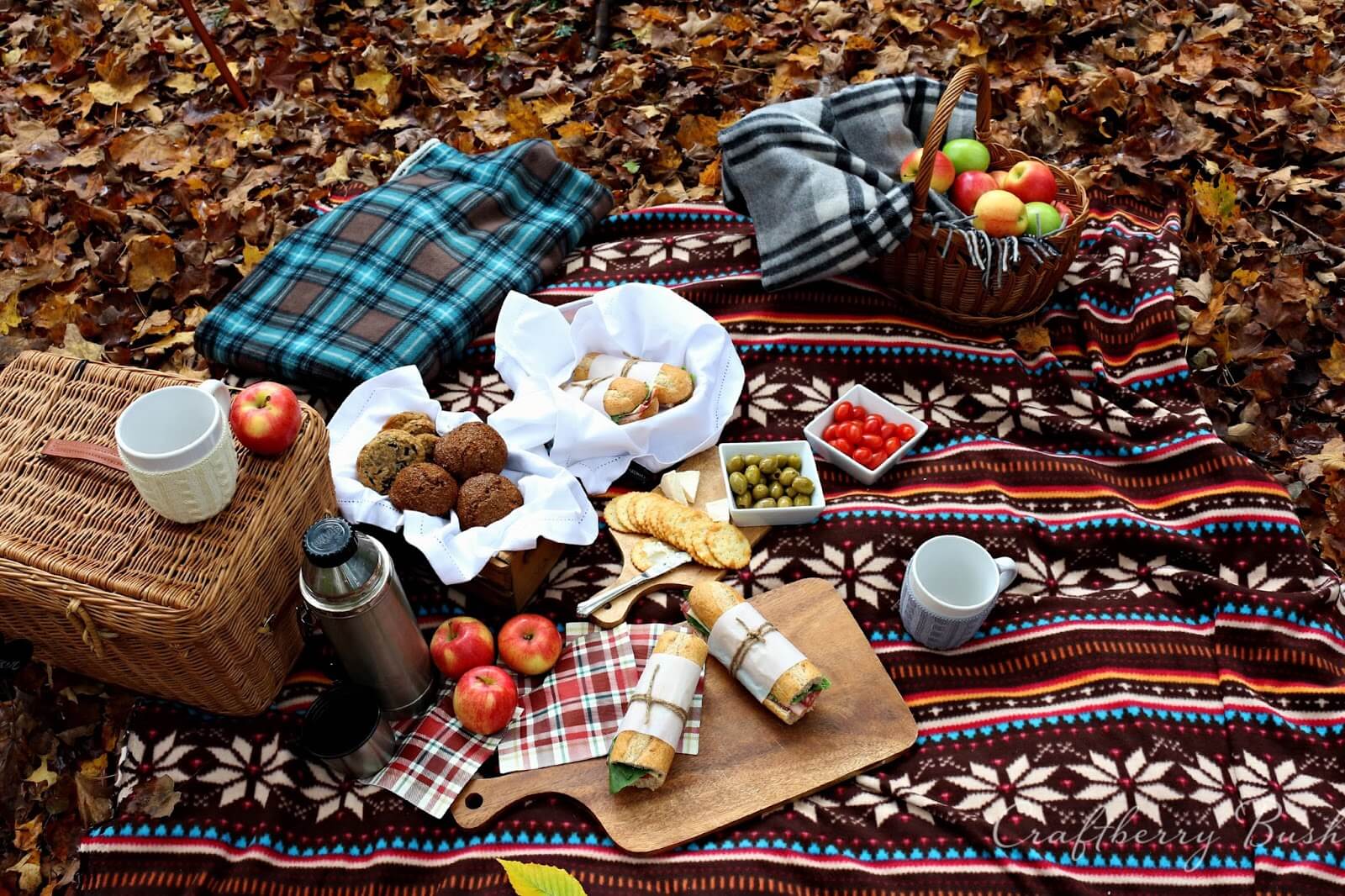Пикник В Осеннем Лесу Фото